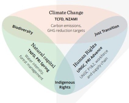 Diagram of thematic priorities